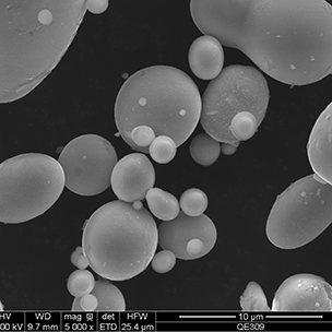 Soft Magnetic Powders